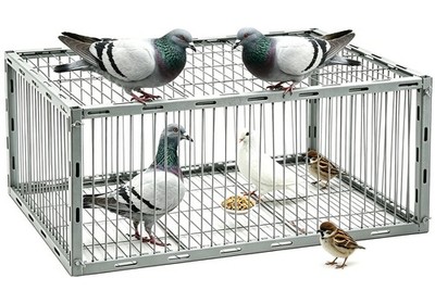 Upgraded Bird Trap - Escape-Proof Sparrow & Pigeon Cage, Easy Install, 27.55''x15