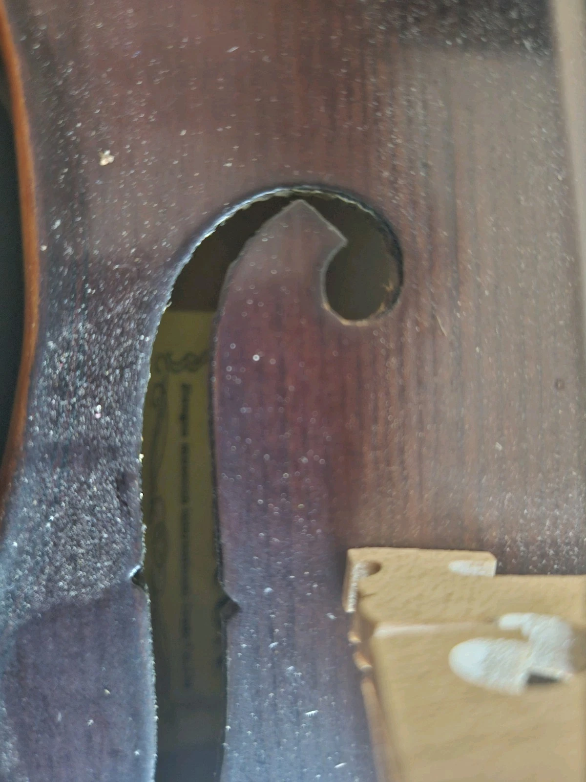 Picture 6 of 8