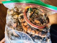 Mystery Jewelry bag lot- All Wearable - No Junk