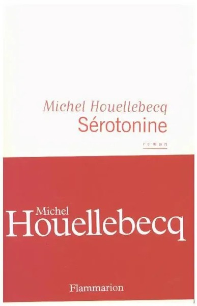 Michel Houellebecq | SéRotonine | Taschenbuch | FranzöSisch (2019) | Roman-image