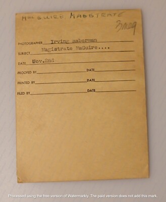 FAMOUS PHOTOGRAPHER MAGISTRATE MAGUIRE NEGATIVE LOT SCARCE