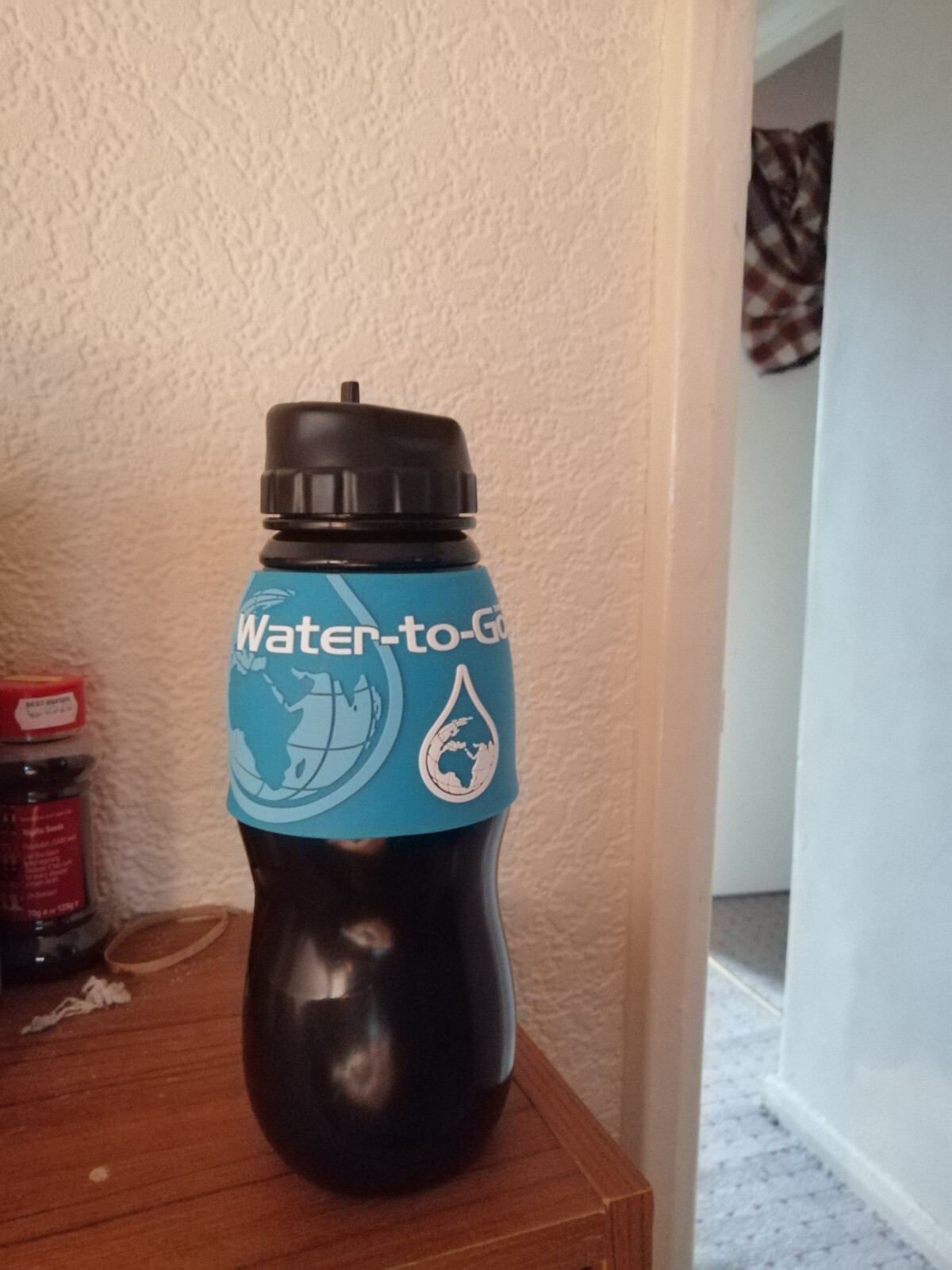 Water To Go _ Filter Bottle Filtration Removes 99.99 Bacteria 75cl eBay