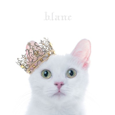 [CD] Best Selection Blanc_