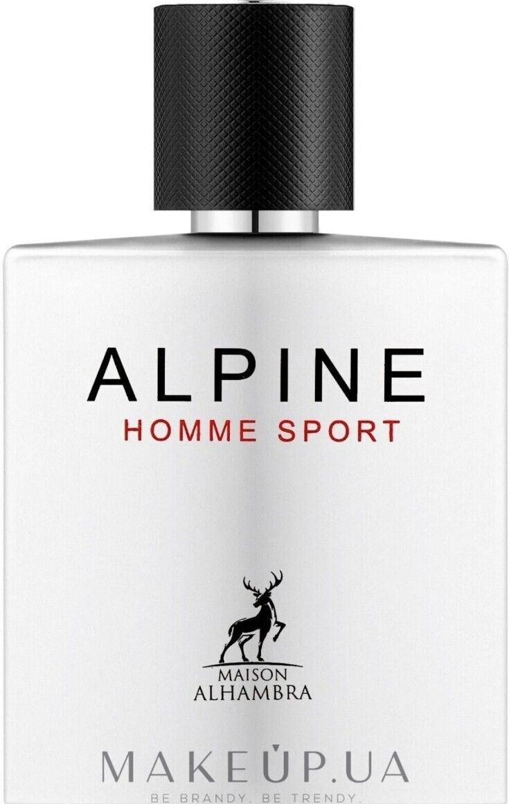 alpine homme sport