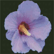 Purple Rose-of-Sharon Flower Counted Cross Stitch Chart No.20-108 