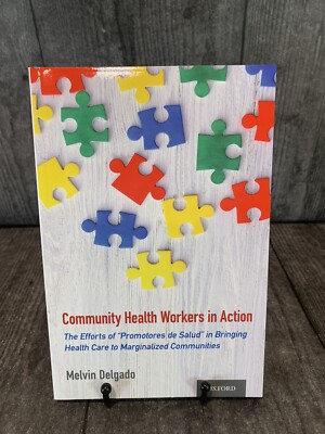 Community Health Workers in Action : The Efforts of Promotores De Salud in Br...
