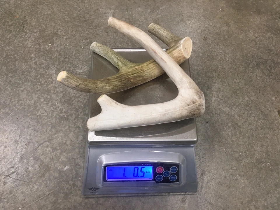 1 libra masticable barato ciervo y alce cuerno perro masticable mezcla-M/L LOTE tenedor a granel grande OFERTA Foto 2 de 4