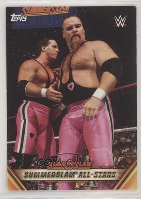 2019 Topps WWE Summerslam Mr The Hart Foundation Win Tag Team Championship 0mo1