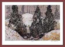 Evergreen by Tom Mathews