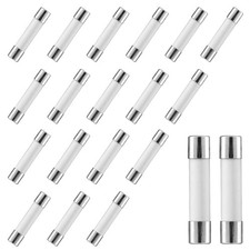 Litoexpe 20-Pack 20A 250V Ceramic Time Delay Fuses Silver, Ivory
