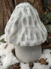 Poly plastic 2 piece mushroom mold plaster concrete mould 6"H x 5"W in total