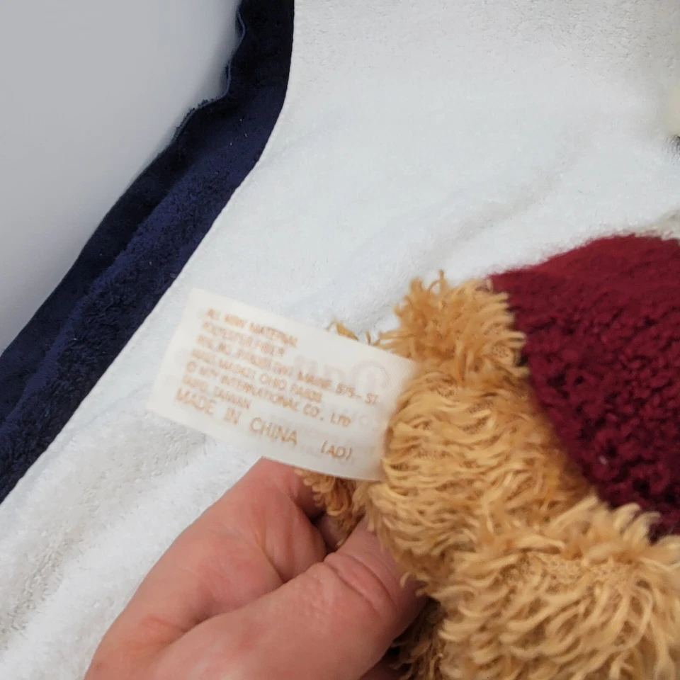 Lote 5 Mini Osos de Peluche Colección Boyd DanDee Russ Ty Hugfun Aprox 6-9" Foto 4 de 4