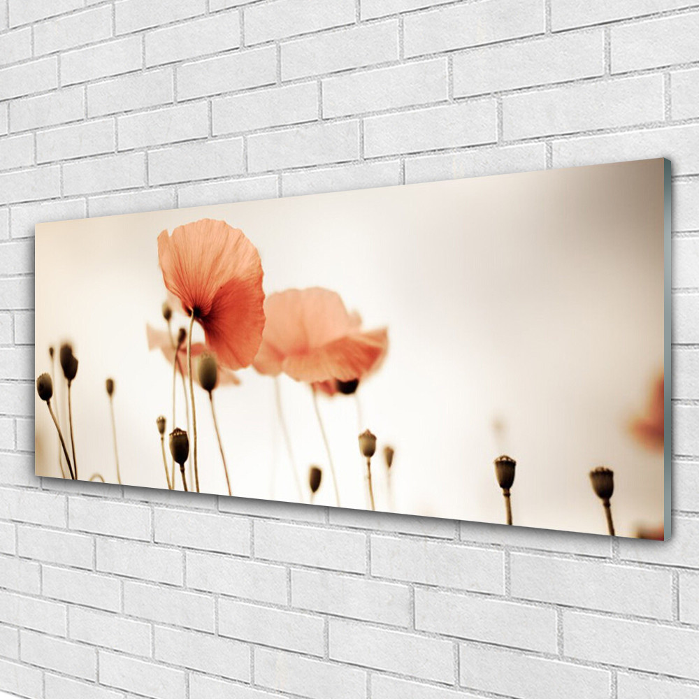Image sur verre coquelicots 125x50 cm pour illuminer votre salon moderne