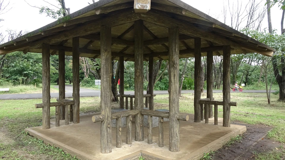 Raynox ADAPTER F62-M62 62mm for HDP-7880ES LENS - Image 4 of 4