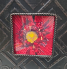 Picture 5 of 11