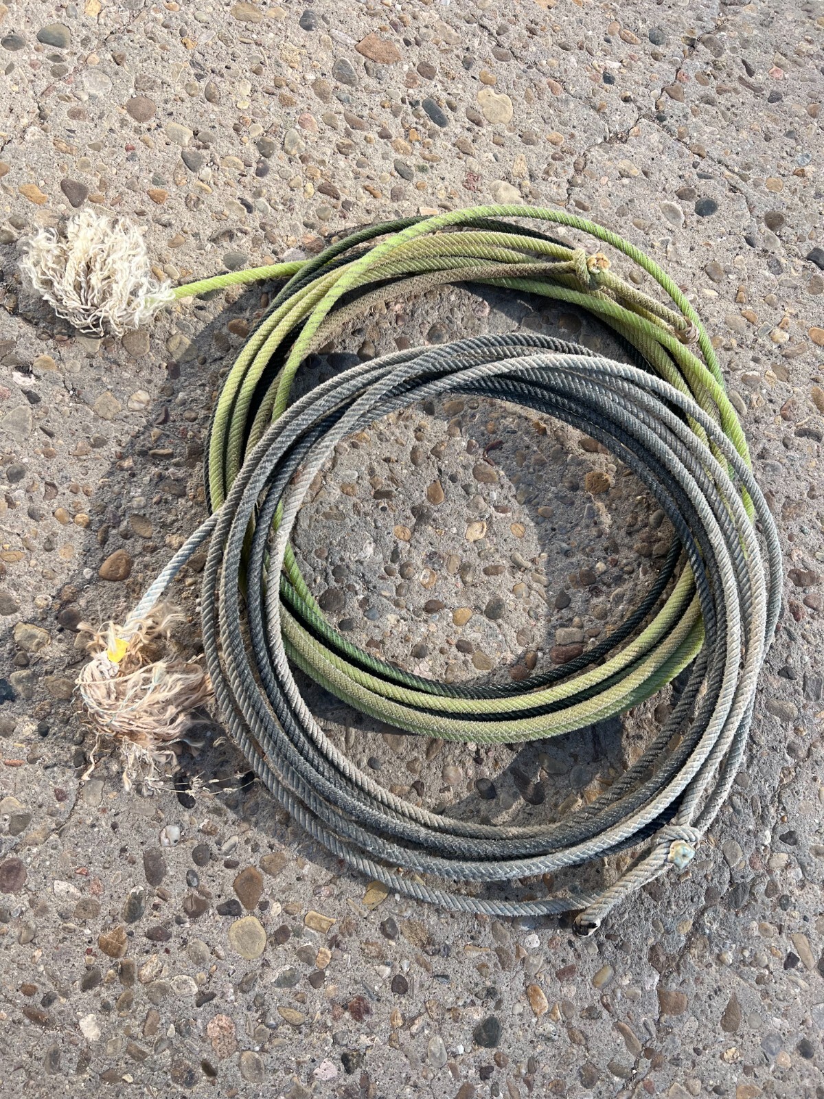 Used Lariat Ropes TWO Used Lariat Team Ropes Good For Décor or Roping Practice | eBay