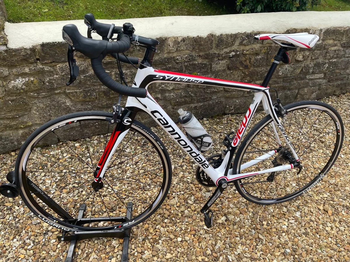 Cannondale 2024 synapse 56