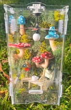 Jumping spider enclosure  Decorated Enclosure  Over Grown Tea Room Enclosure