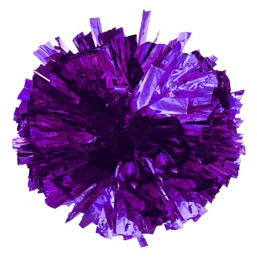 Kids 2 Pack Cheer Leader Shiny Pom Poms for Team Spirit Cheering Performance - 第 36/40 張圖片