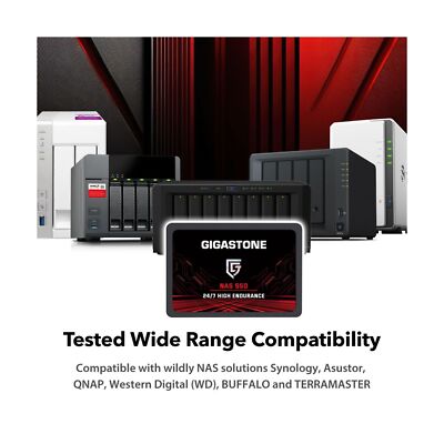 Gigastone Enterprise 1TB NAS SSD (2-Pack) 24/7 High Endurance