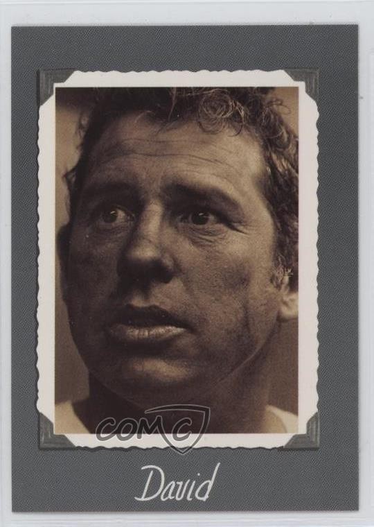 1989 Maxx Racing Racing Classic David Pearson #194 Rookie RC HOF 3c7