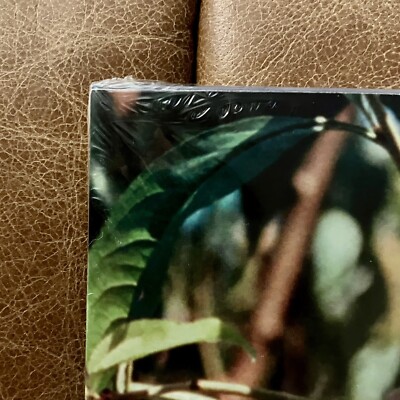 Sufjan Stevens - Mystery Of Love - 10