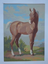 Horse Print - Watercolor Style - Cardboard Print