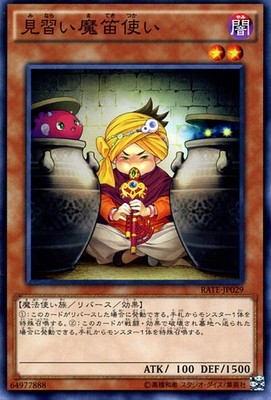 Yu-Gi-Oh OCG Apprentice Piper RATE-JP029 Raging Tempest Common NM Japanese