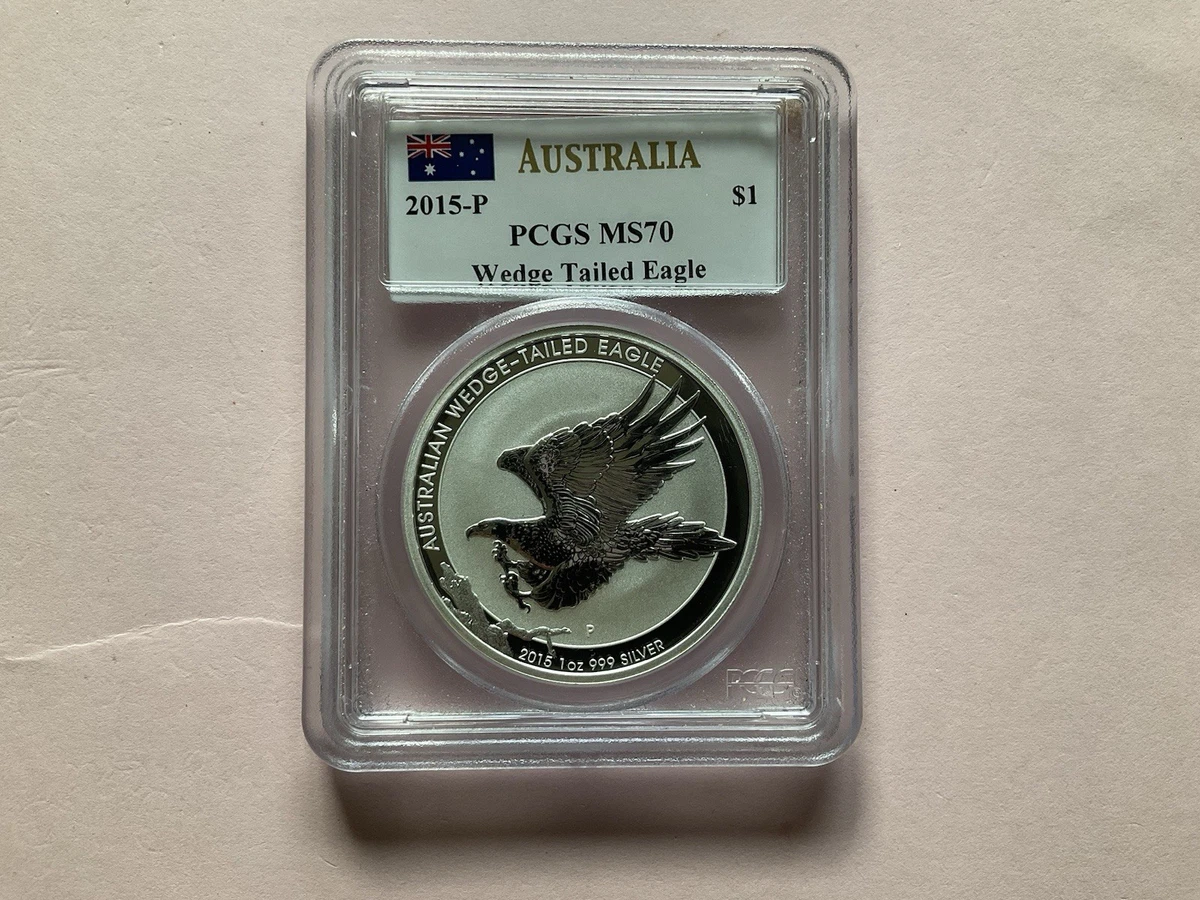Wedge Tailed Eagle for sale | eBay