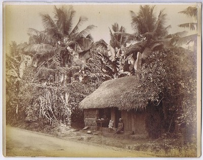 CEYLON Indianerhütte bei Colombo antikes Foto um 1900