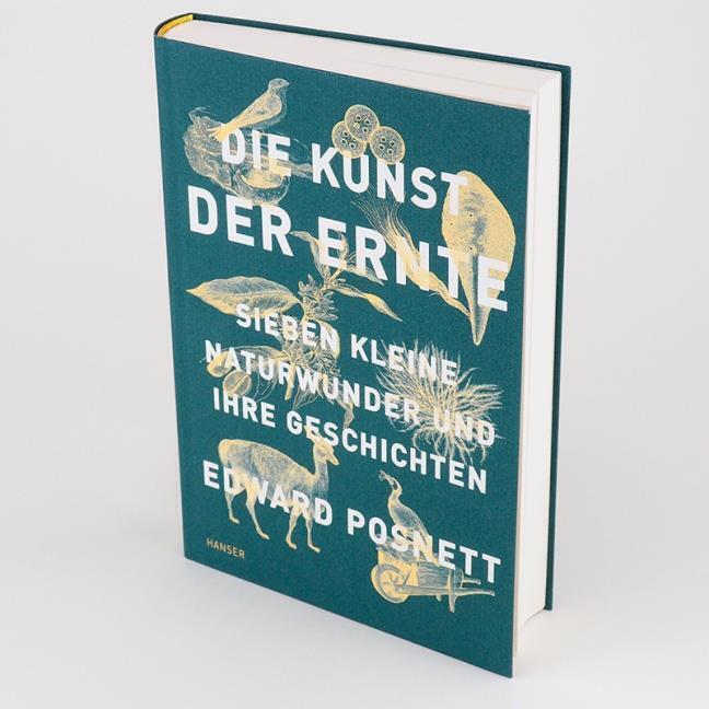 Thumbnail - Die Kunst Der Ernte Edward Posnett