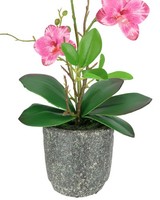 Kunstblume Schmetterling Orchidee Mit BläTtern Im Keramiktopf Kunstpflanze Deko