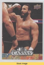 2023 Upper Deck AEW All Elite Wrestling UD Canvas Tony Nese #C65 READ z6b