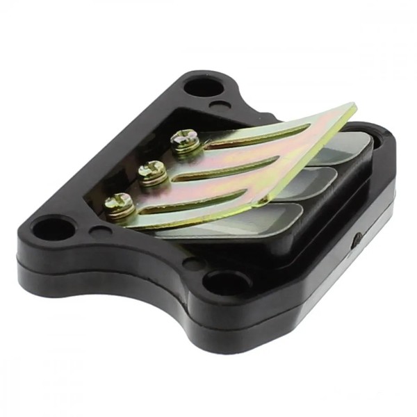 Membranblock Peugeot, Glasfaserlamellen FüR Peugeot Trekker 50 Streetboard 99-00-image