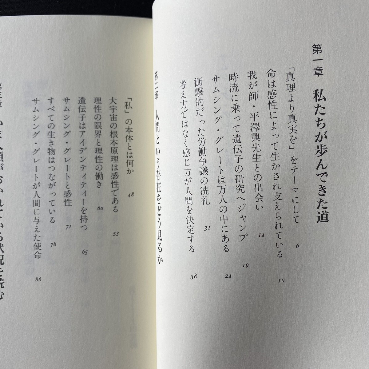 in pursuit of peace 1993 非売品 IKEDA s-l400.jpg