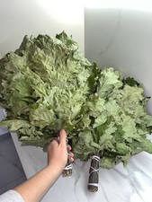 24 Brooms: 12 Birch 12 Oak 2025 sauna whisks brooms banya accessories