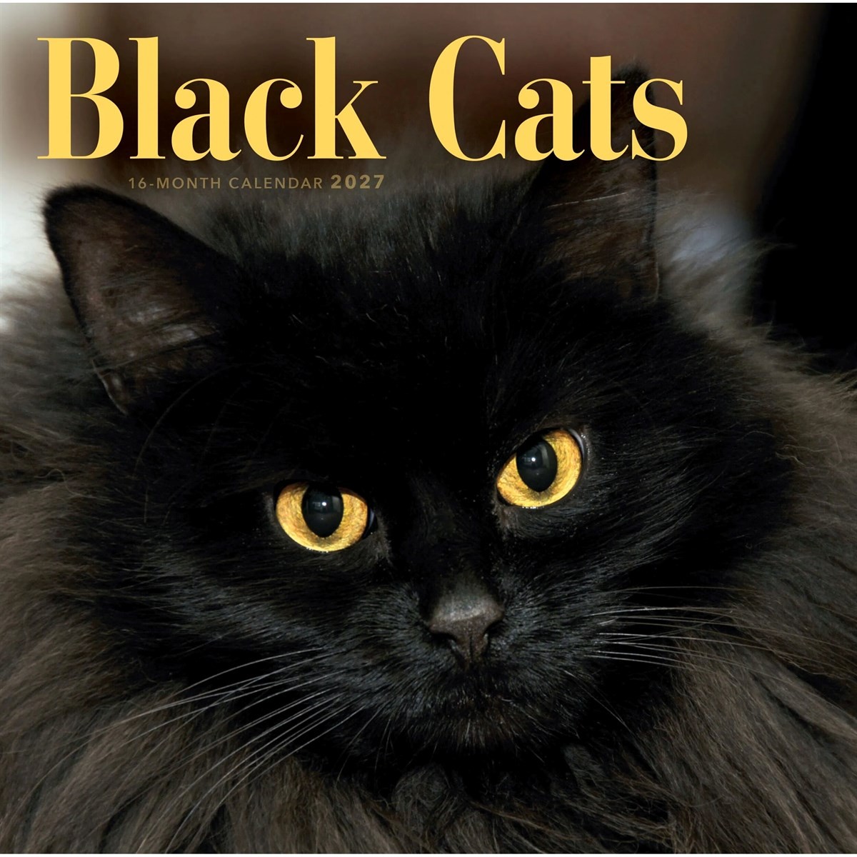 Black Cats Calendar 2027, Wall Calendars, Month To View, Cats, Gift