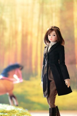 Sekiguchi momokoDOLL SWINGING TROT Fashion Doll | eBay