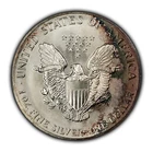 1991 1 oz Silver American Eagle - Rainbow Crescent Toning - BU - SKU-E3428