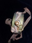 Bild 11 von 11