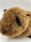 Bild 8 von 12