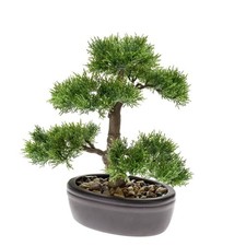 künstlicher Bonsai CEDAR Zedernbonsai H. 32cm grün im Keramik Topf Emerald