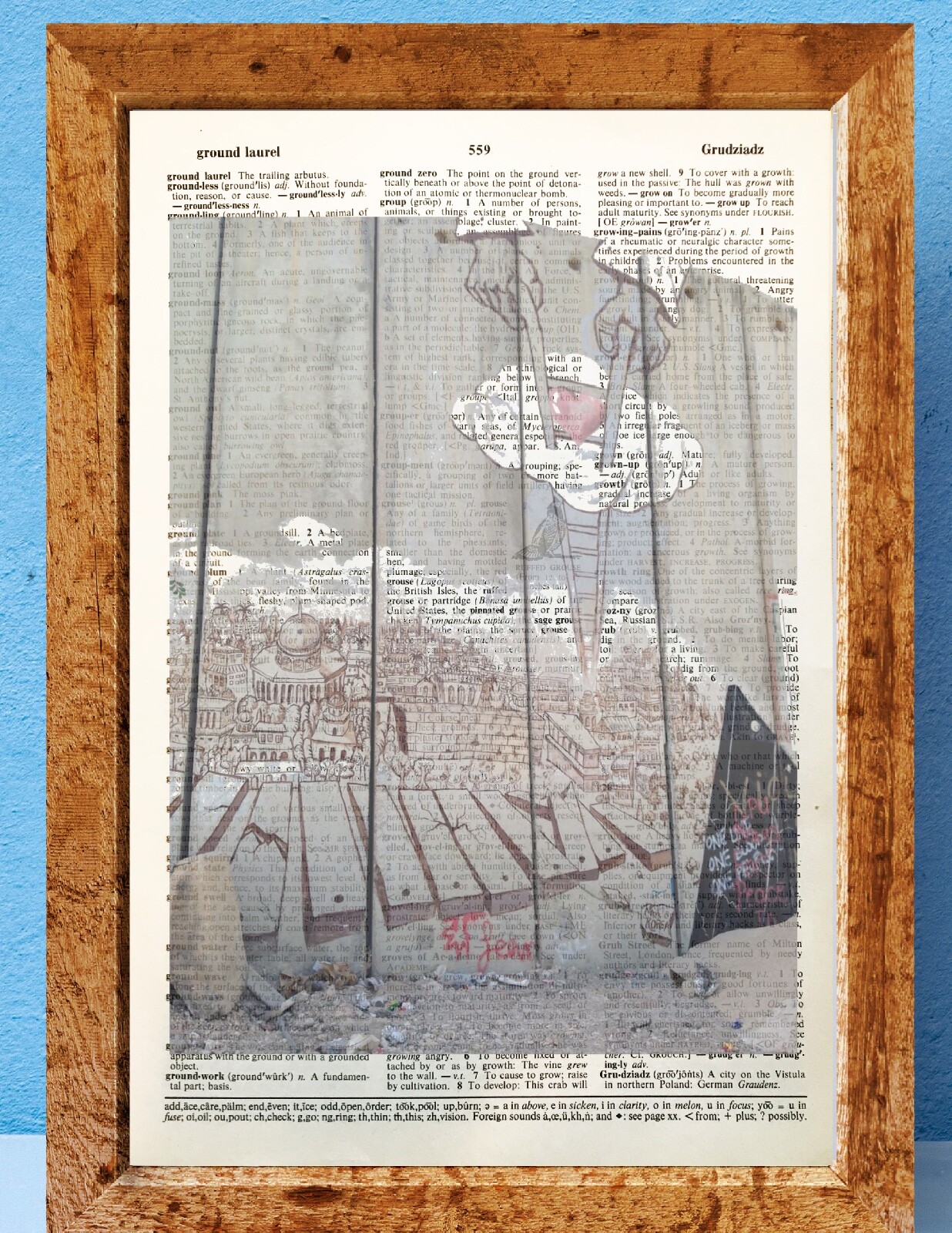 Banksy Walled off hotel Street Art dictionary page art print book R96
