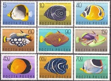Poland 1967 Tropical Fish,Butterflyfish,Angelfish,Triggerfish,Marine,Nature,MNH
