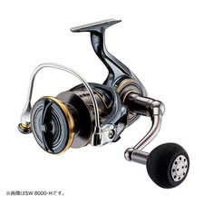 Daiwa 22 Caldia SW 4000-CXH Spinning Reel