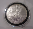 1999 WALKING LIBERTY AMERICAN EAGLE SILVER DOLLAR US COIN 1oz FINE UNCIRCULATED!