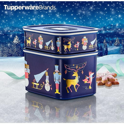 Tupperware Winterfreude Baseline Set 2tlg Vorratsdosen 500ml & 1,3L Weihnachten