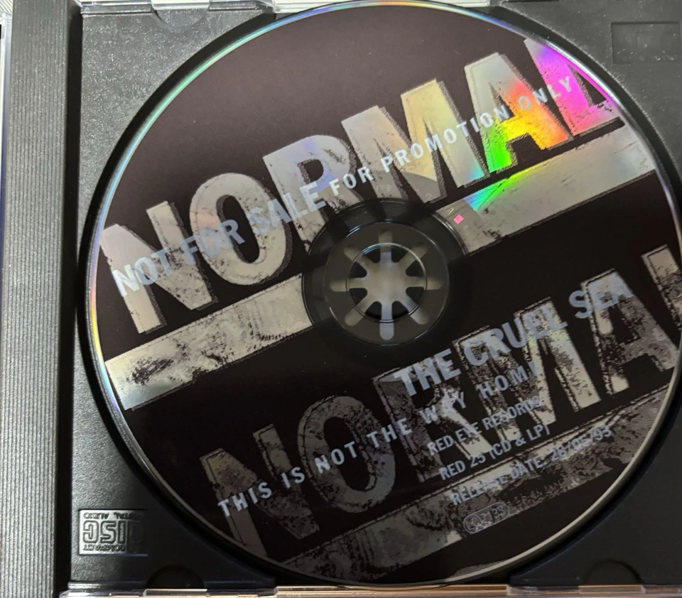 This Is Not the Way Home von Cruel Sea,the, Cruel Sea | CD | Zustand sehr gut - Bild 3 von 4