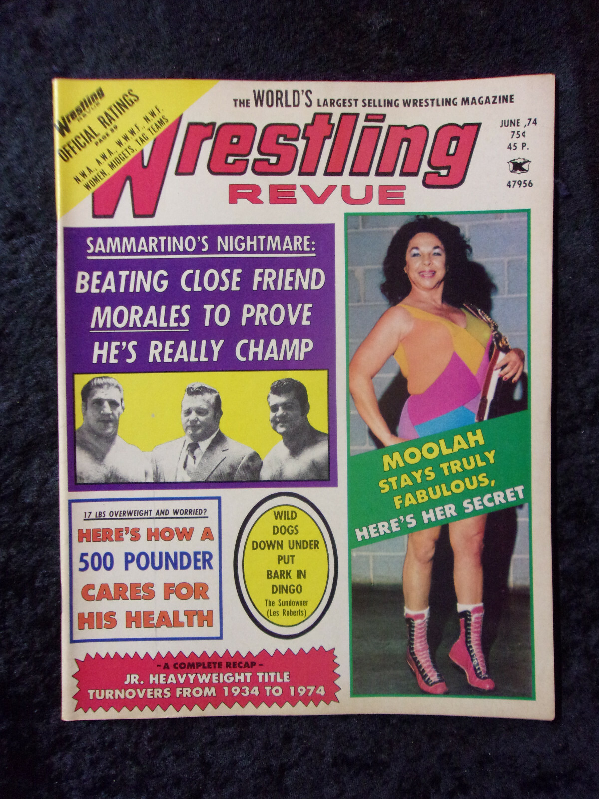 新品・未開封
ポケットモンスター スカーレット・バイオレット ダブルパック ☆ER-6n/f（'12-'15）、Ninja400（'14）用 GIVI製 4104FZ モノラック用