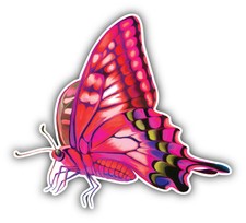 Swallowtail Butterfly Car Bumper Sticker Decal 5'' x 5''